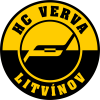 Litvinov U20