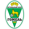 Gomel 2