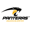 Panteras de Aguaskalentes