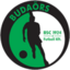 Budaorsi