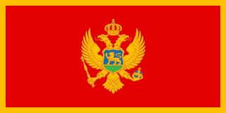 Buducnost Podgorica