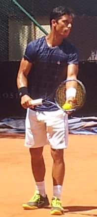 Pereira T